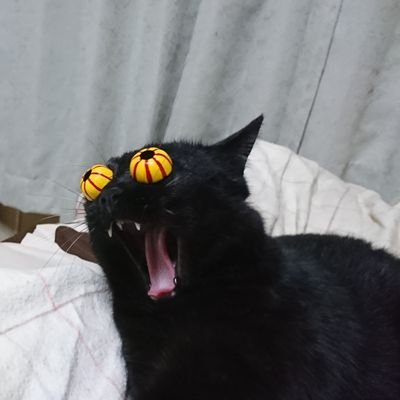 hamaou3's profile picture. 子供部屋おじさん 176/67 #裏垢女子 #裏垢男子 #デリヘル #麺類 #猫好き #お酒 #アニメ #秘密厳守 #18禁 #P #DMいつでもOk #悩み相談 #ドライブ