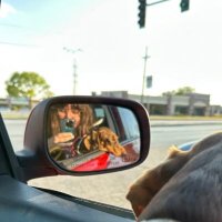 GR (@gr8shrimp) 's Twitter Profile Photo