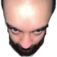 papa bird 🕊️ (@papabirdd) 's Twitter Profile