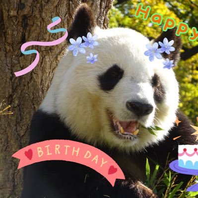 タンタンさん🐼チームたんたん😎王子動物園🐘全力応援してます📣😆 リラックマ大好き❤️ 😆 全ての動植物の命を大切にしたい🧸不慣れで失礼がありましたら申し訳ありません🐣だららんと呟き🍡