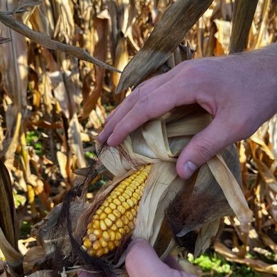 The View From The Farm podcast, hosted by farmer and ag journalist Ben Herrold. Available on Apple and Spotify podcasts.