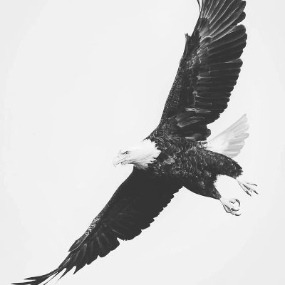 djek664111's profile picture. 