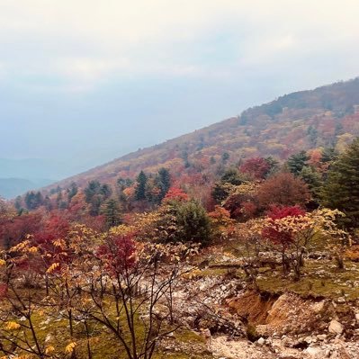 soun2048's profile picture. 自由