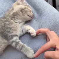 아거아거🕯 (@worththemall) 's Twitter Profile Photo