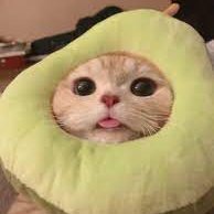 448Hbt's profile picture. 