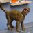FenceFerguson's profile image