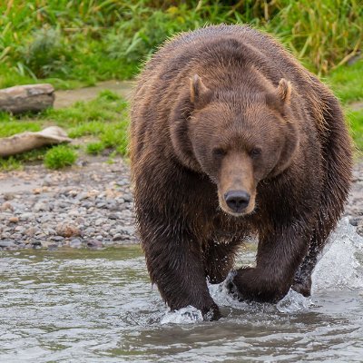 0wZWVIfgI3PlgkK's profile picture. Мне 54 года.