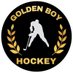 Golden Boy (@NHLGoldenBoy) Twitter profile photo