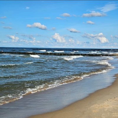 Die_behinderte's profile picture. 