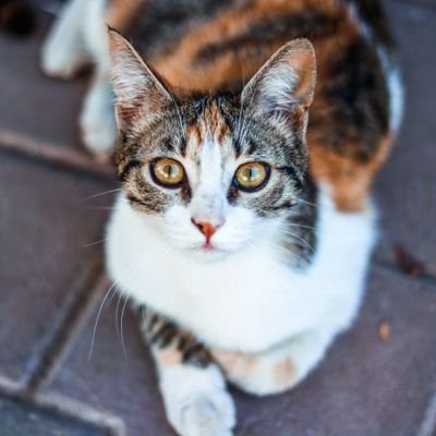 ggdttt0811's profile picture. 