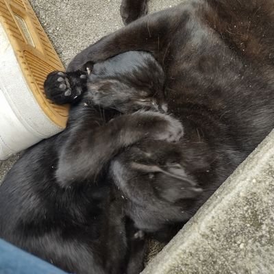 xazerty4's profile picture.