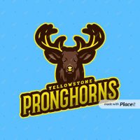 Yellowstone Pronghorns (@yspronghorns) 's Twitter Profile