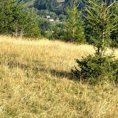 BeluDaniela4's profile picture. I love Simona Halep! Big fan of tennis. I like Monica Niculescu, Barbora Strycova, Petra, Paula Badosa,  Sloane, , Federer, Nadal,Stan the man ,Andrei Rublev