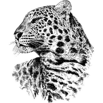 AnimalYala's profile picture. 