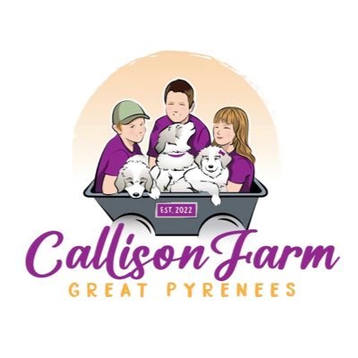 CallisonFarmPyr's profile picture. We are a breeder of quality AKC Great Pyrnees as pets and livestock guardian dogs (LGD).