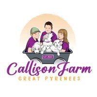 Callison Farm Great Pyrenees(@CallisonFarmPyr) 's Twitter Profile Photo