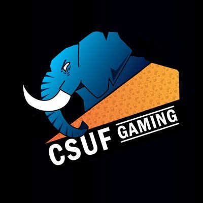 CSUFGaming Profile Picture