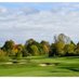 Quit Qui Oc Golf (@quitquioc) Twitter profile photo Quit Qui Oc Golf (@quitquioc) Twitter profile photo
