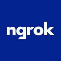 ngrok(@ngrokHQ) 's Twitter Profile Photo