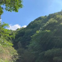 はな (@b6lw6h32gt72197) 's Twitter Profile