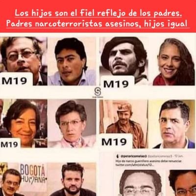 tottoyascanio's profile picture. 