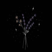 Reem ✨🦋 (@reemmoh91758442) 's Twitter Profile