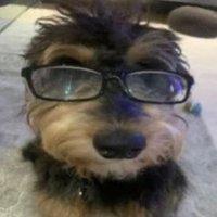 den (@migodani) 's Twitter Profile Photo