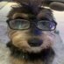 den (@migodani) Twitter profile photo den (@migodani) Twitter profile photo