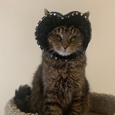 andy_joe's profile picture. 