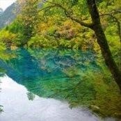 chiharu245897's profile picture. 起業家・投資家  現在ニューヨーク在住  生活困窮者の方々へ現金配布企画を始めました。  毎日10万円プレゼント中です🎁 フォローでご参加ください👍🏻
 配布報告はこちらから🍹 https://t.co/82iAYTRQ2f