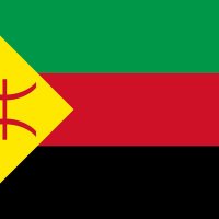 Free azawad(@free_azawad) 's Twitter Profile Photo