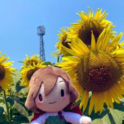 麒麟マンさんのプロフィール画像