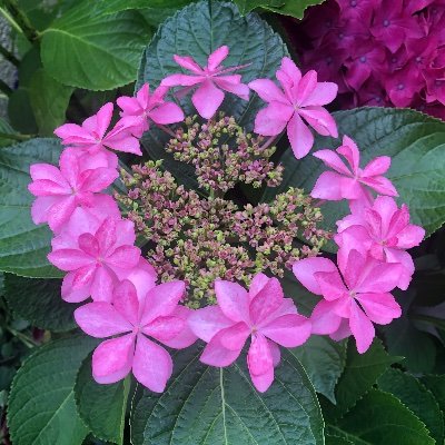 meteori_x's profile picture. 