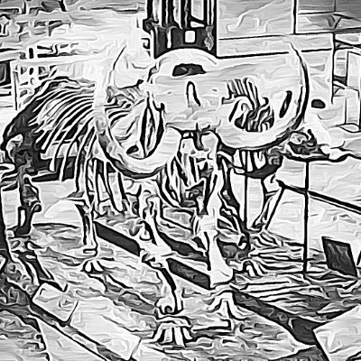 Mastadon____'s profile picture. Worldstraveler.