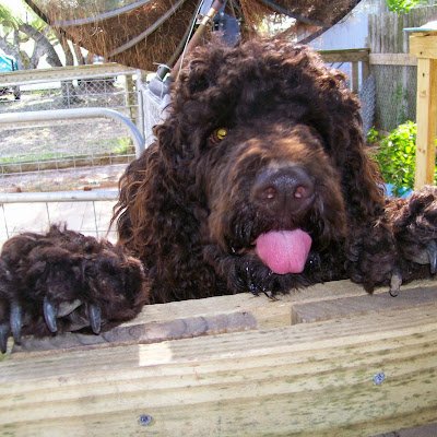 DurbinDale93478's profile picture. Observer of Normal and Crazies