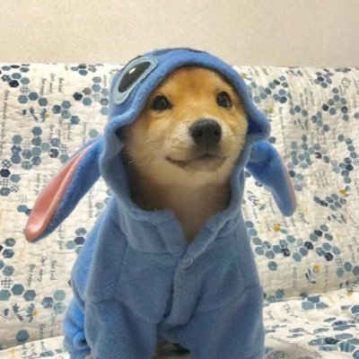 NXRV3S's profile picture. if u are a future employer seeing any of my interactions on this website…they are my own opinions and would not represent the establishment i aim to represent