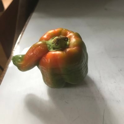 BaselinesStudio's profile picture. Founding member Private Lightning band.