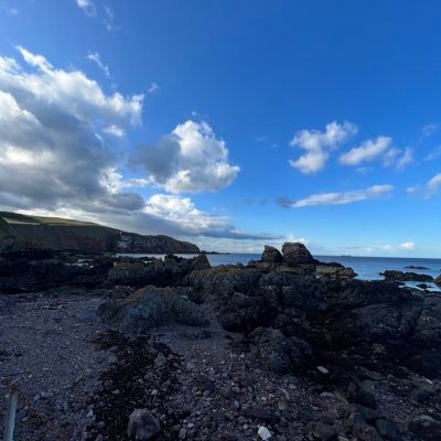 WLFSh1's profile picture. Researcher, loves natural enviro and visual arts, original music and genuine people