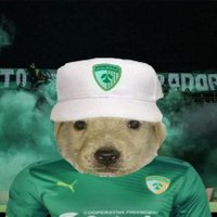 Jorpri 🪄 (@jorpri1) 's Twitter Profile