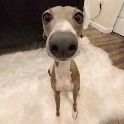 Lu47583Luna's profile picture. 