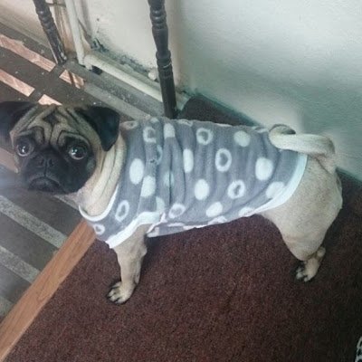 DorazcoJon36360's profile picture. 🎮🎮❤️