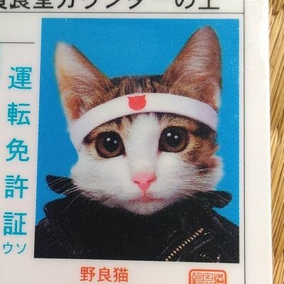 甘やかされた子供が持つ問題。1. 否定を受け入れられない2. 自立できない3. すぐに諦める4. 譲歩できない5. 自分から行動しない6. うまくいって当たり前
借金作って逃げた