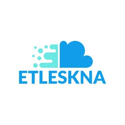 etleskna Profile Picture