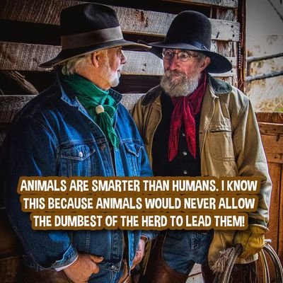 mariuskruger30's profile picture. 
