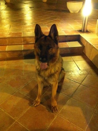 jcsoldado's profile picture. 