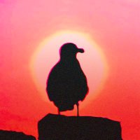 daydreeaaaming☔️ (@daydreeaaaming) 's Twitter Profile Photo daydreeaaaming☔️ (@daydreeaaaming) 's Twitter Profile Photo