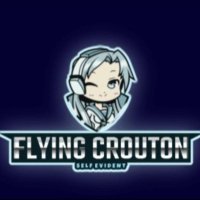 Self Evident (@flying_crouton) 's Twitter Profile Photo