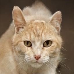 GregoryCin80662's profile picture. Passionate educator and lifelong learner. 📚🍎 | Inspiring minds and making a difference one lesson at a time.