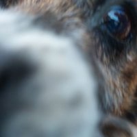 Carlos (...) (@_nomprovisional) 's Twitter Profile