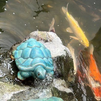 ghostbrigade88's profile picture. Upbeat about the future